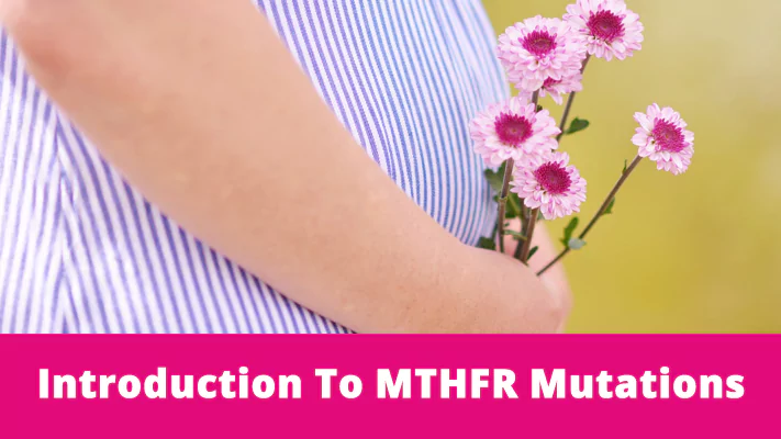 Introduction To MTHFR Mutations