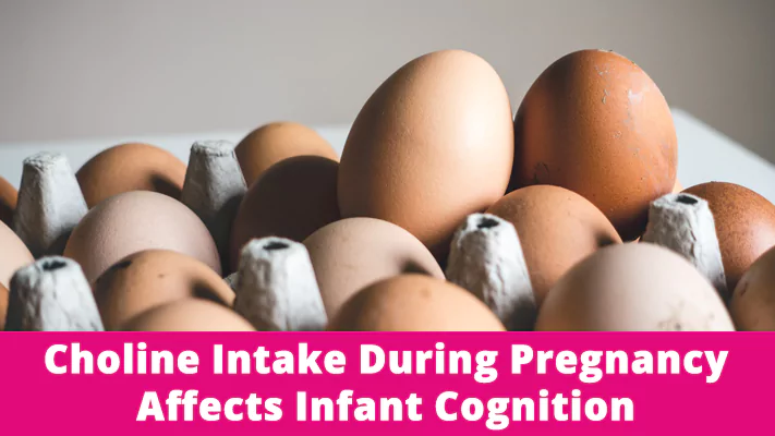 Choline intake during pregnancy affects infant cognition