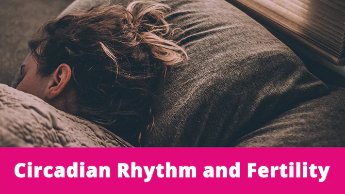 Circadian Rhythm and Fertility