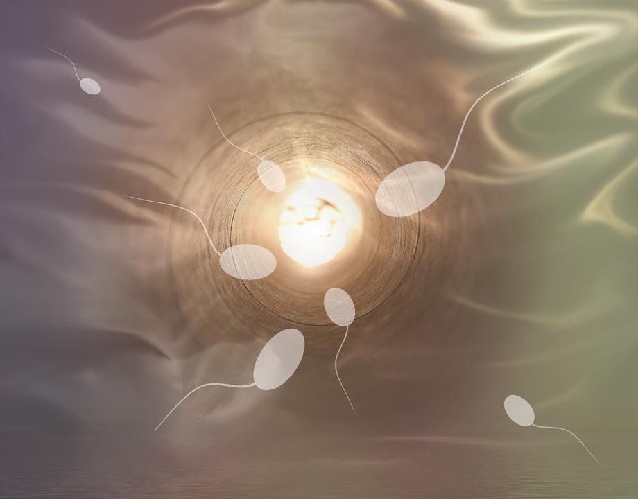 How to Improves the Generation of Sperm