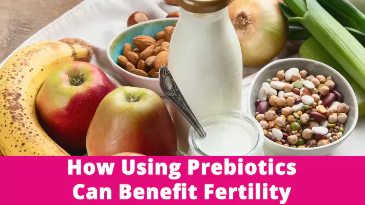How Using Prebiotics Can Benefit Fertility